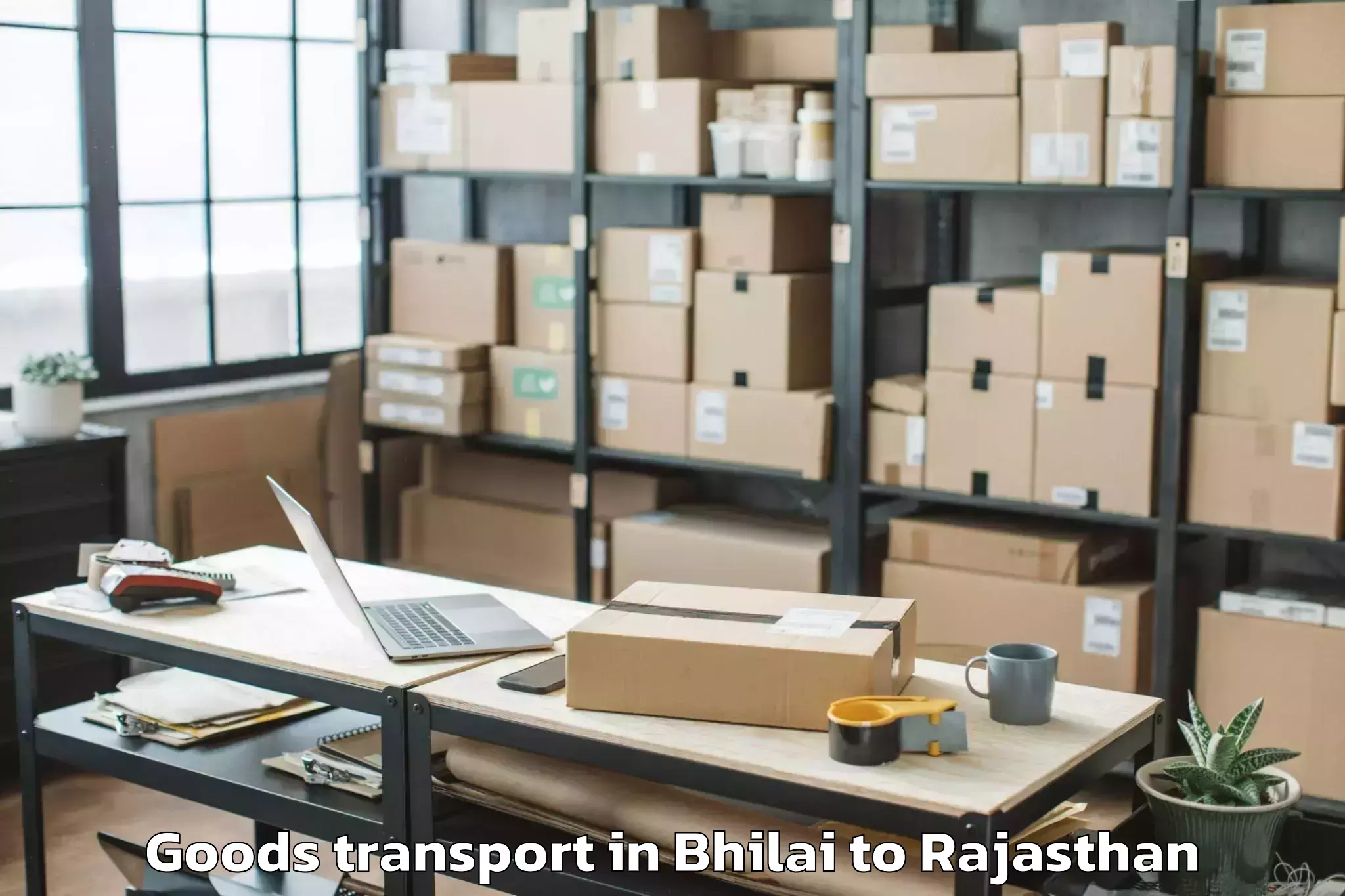 Bhilai to Badnor Goods Transport Booking